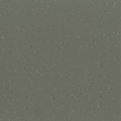 035 - Dried-Tarragon